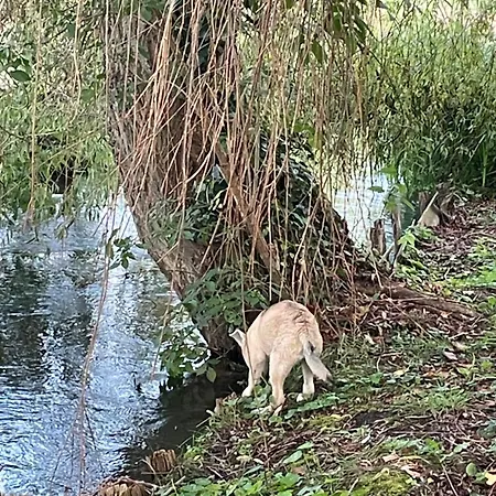 Pieds Dans L Epte Pret De Giverny Gasny